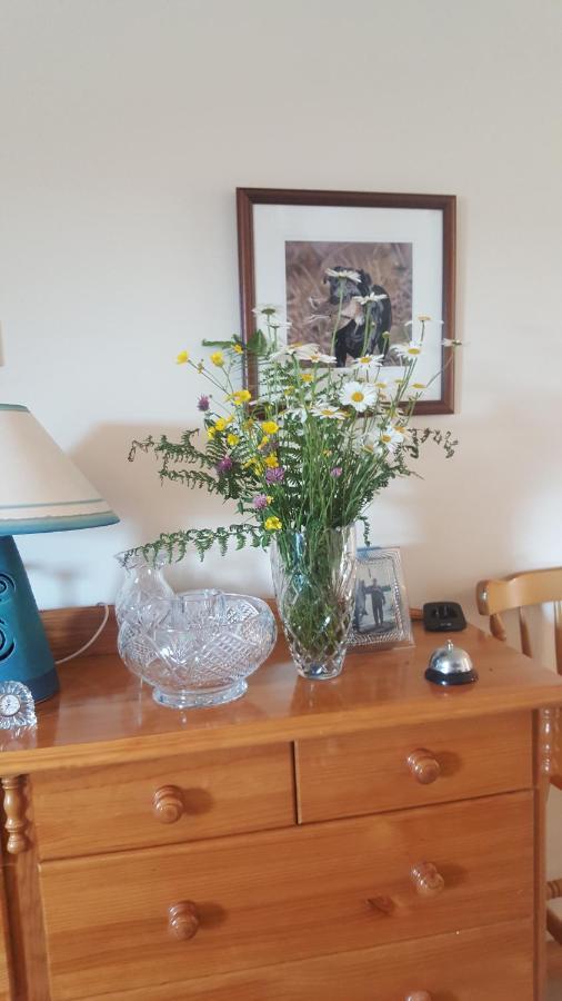 Corrib View Lodge Glencorrib  Экстерьер фото